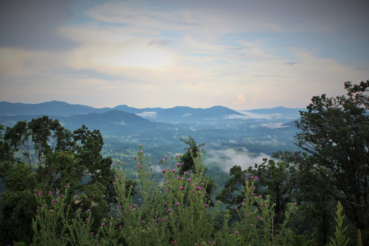How to Spend the Perfect Day in Charlottesville, VA