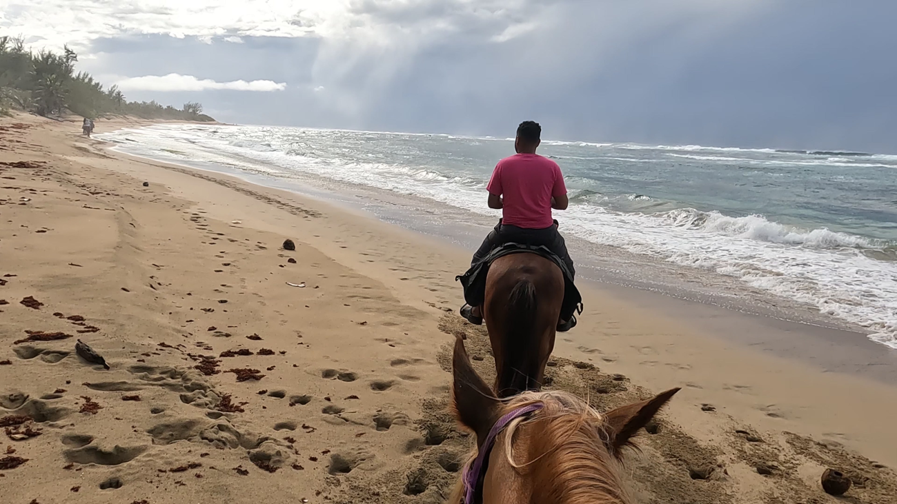 Horseback riding on the beach, Puerto Rico