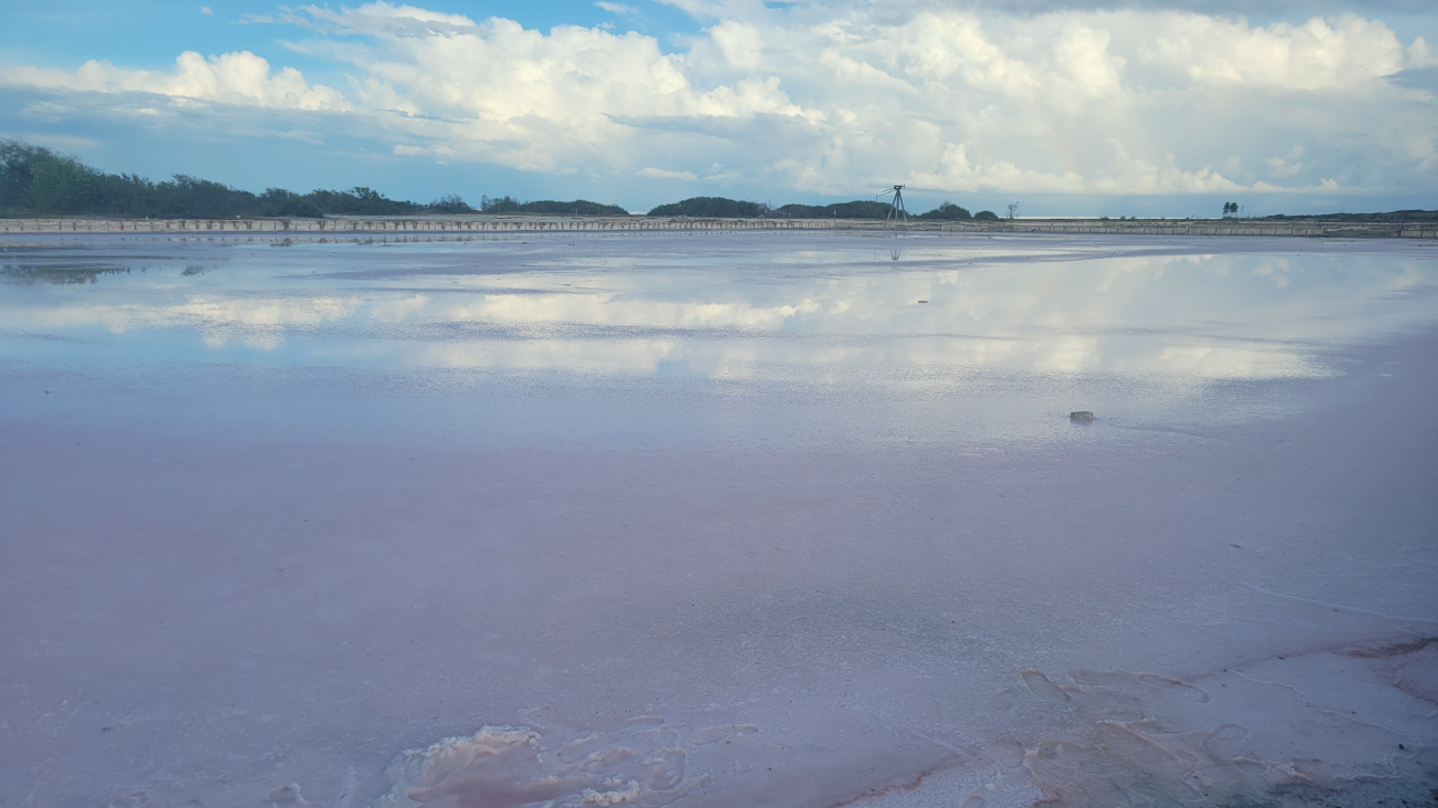 pink salt flat "las salinas" in Cabo Rojo, PR